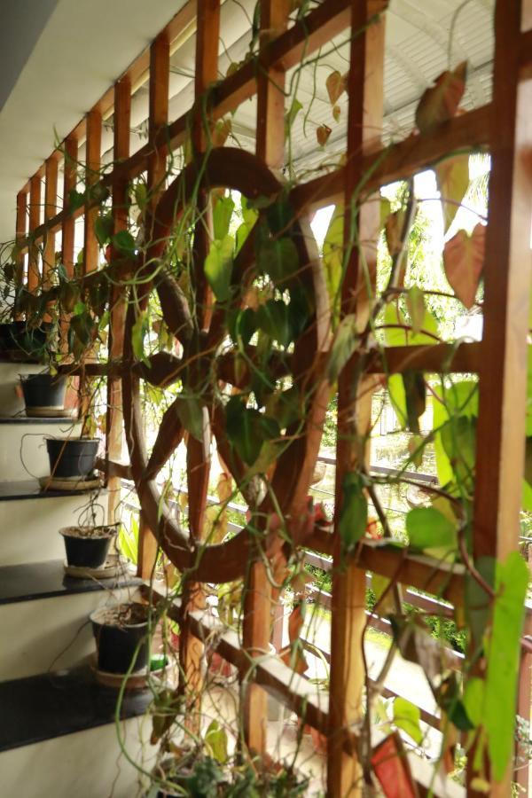 Periyar Woods Bed & Breakfast เทกคาดี ภายนอก รูปภาพ