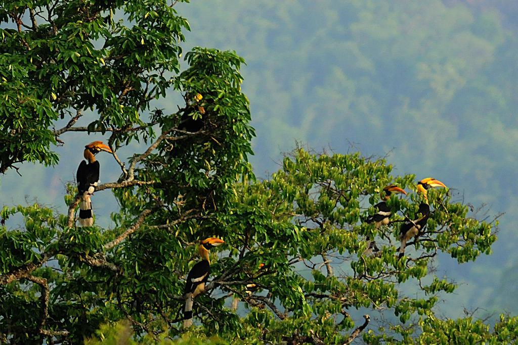 Periyar Woods Bed & Breakfast เทกคาดี ภายนอก รูปภาพ