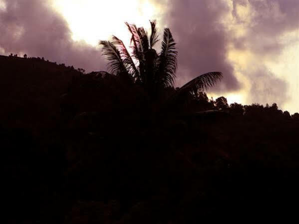 Periyar Woods Bed & Breakfast เทกคาดี ภายนอก รูปภาพ